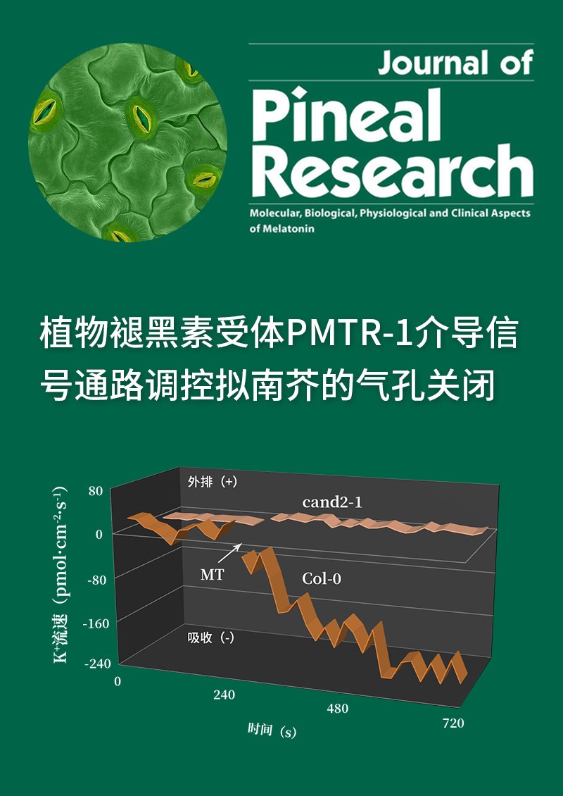 植物褪黑素受体PMTR-1介导信号通路调控拟南芥的气孔关闭