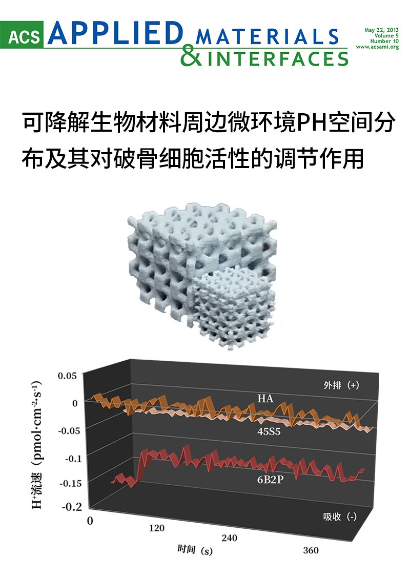 可降解生物材料周边微环境PH空间分布及其对破骨细胞活性的调节作用