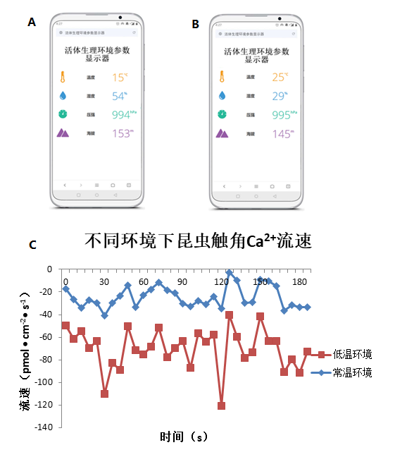 wenzhang 3